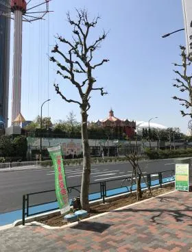 ヴァリエ後楽園ビルの外観
