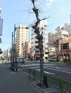 Y’sビルの外観