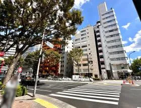 横断歩道で反対側（左側）に渡る