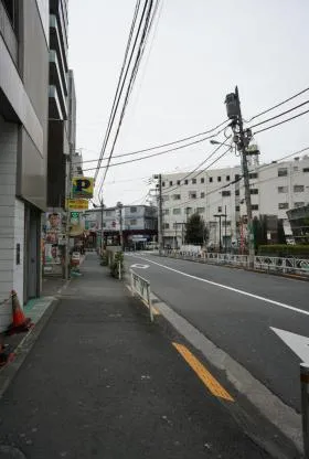 モルフォの外観