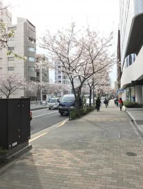 グランディール広尾の外観