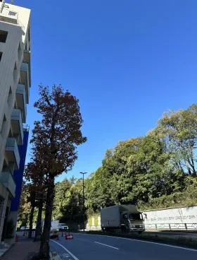 コンフォリア南青山ビルの外観