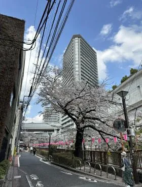 石綿ビルの外観