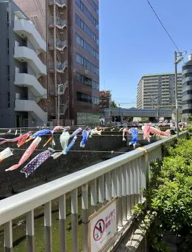 KTの外観
