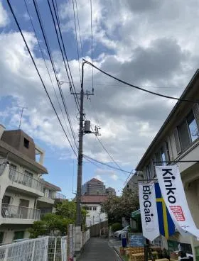 桜井ハウスビルの外観