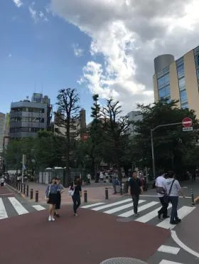 パークハイツ池袋ビルの外観