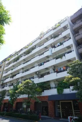 アルプスマンション西大久保の外観