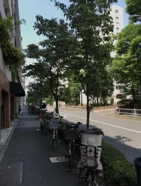 アルプスマンション西大久保の外観
