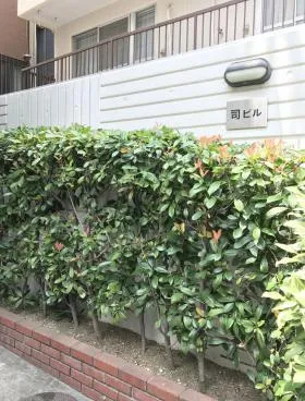 司ビルの外観