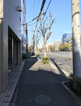 小美野ビルの外観