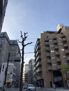 グランドメゾン一番町の外観