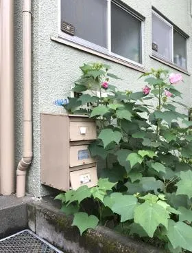 黒木コーポの外観