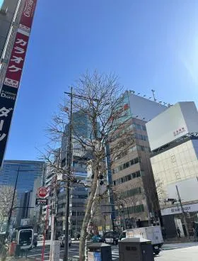 A-PLACE新橋駅前ビルの外観
