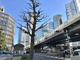 渋谷ソラスタの外観