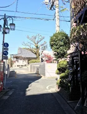 レジデンス初台の外観