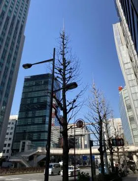 銀座第1ビルの外観