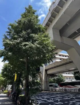 リビングデザインセンターOZONE(新宿パークタワー内)の外観