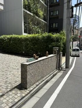 テディズコート一番町の外観