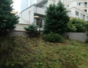 (仮称)西麻布三丁目ビルの外観