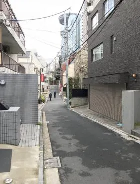 赤坂4丁目戸建ビルの外観