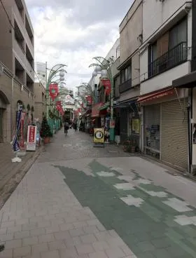 エコーの外観