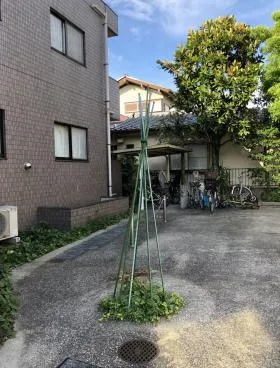 Der Brunnenの外観