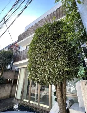 シンフォルム南青山ビルの外観