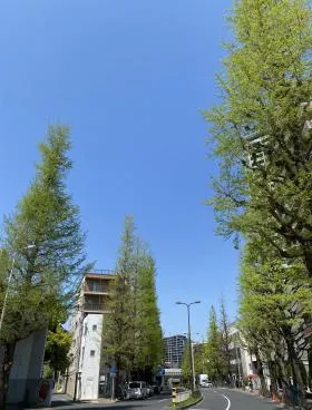 白金6丁目戸建の外観
