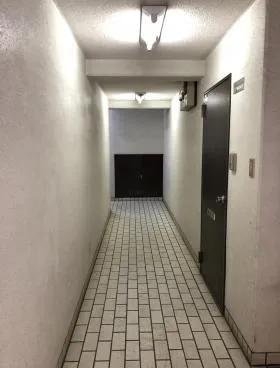 ハイツササキビルの外観