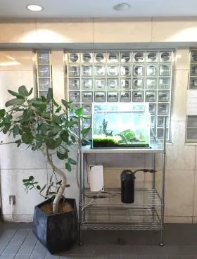 TMA人形町ビルの外観