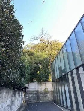 パシフィックアーツ青山ビルの外観