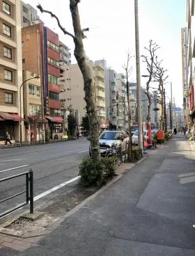 セブンスターマンション島津山ビルの外観