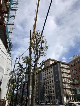南青山リハイムの外観