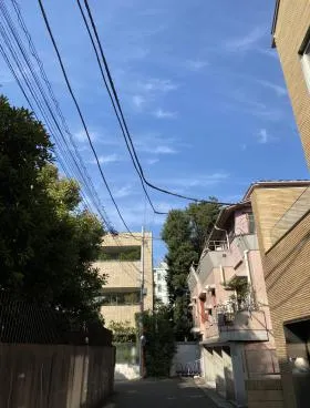 HOAの外観