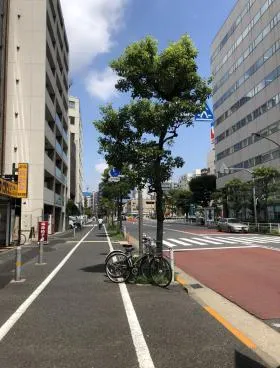 サンフォレストⅢの外観
