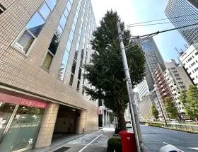 昭和通り沿いを銀座方面に直進する