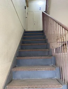 栗の外観