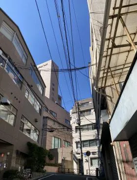 栗の外観