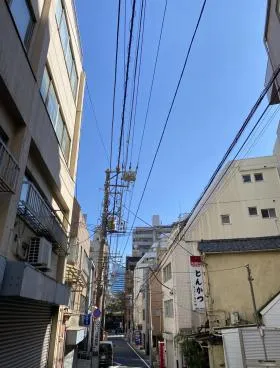 栗の外観