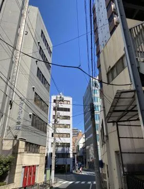 栗の外観