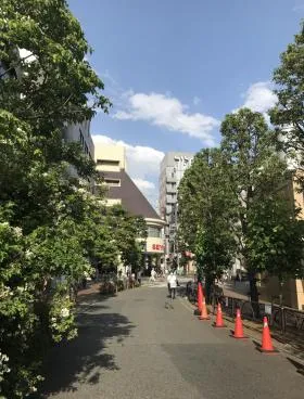 Shallowsの外観