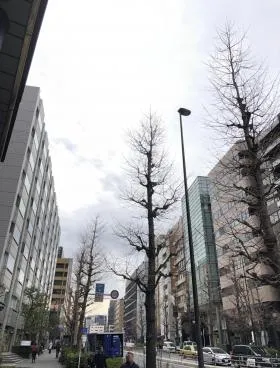 大和田ビルの外観