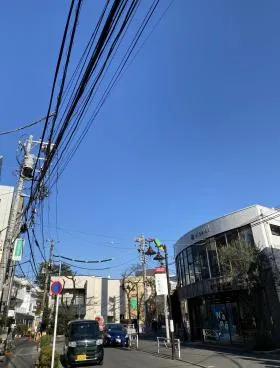C-stylsの外観