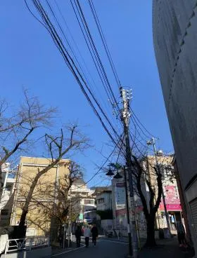 C-stylsの外観