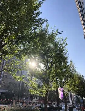 土田ビルの外観