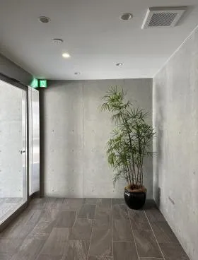 AREA Mの外観