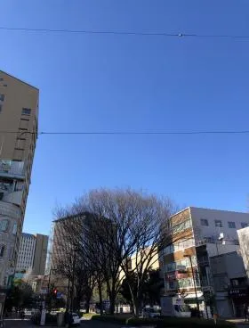Bianco Wの外観