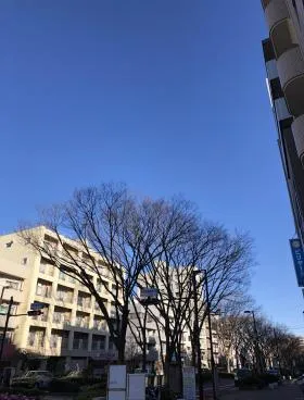 Bianco Wの外観