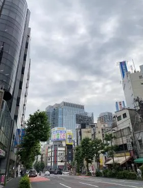 小川町細野ビルの外観