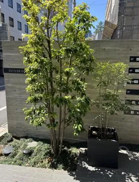 ESCALIER五番町ビルの外観